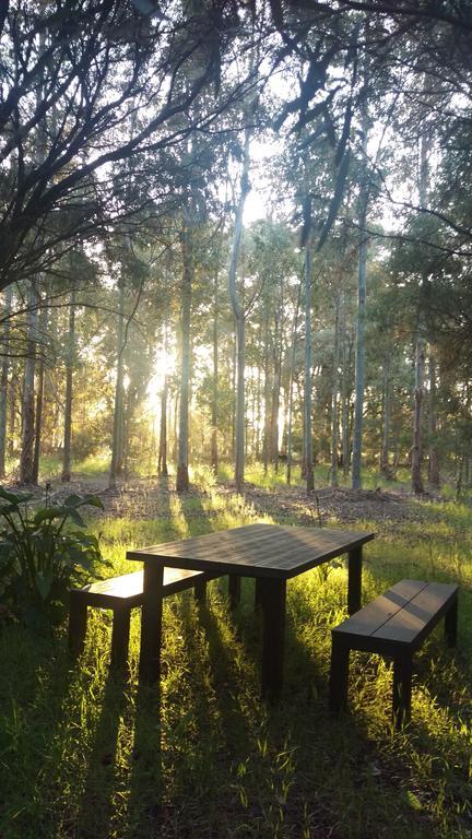Redgate Forest Retreat Witchcliffe Exteriér fotografie